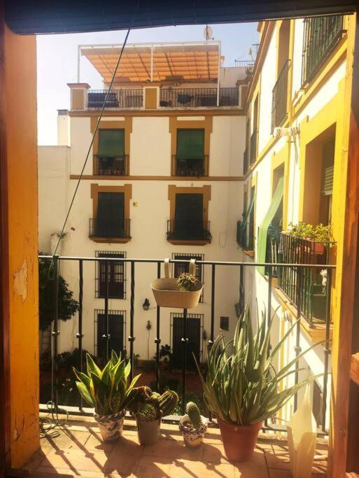 Plaza Cristo De Burgos Seville