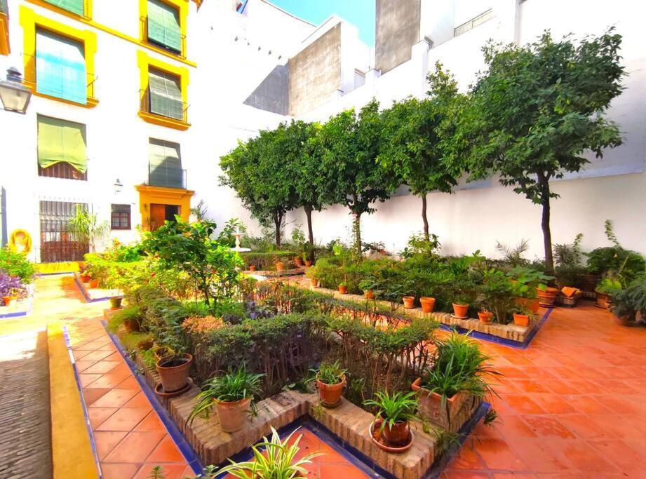 Plaza Cristo De Burgos Appartement